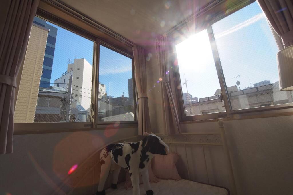 【Great Location!】Near Shinjuku Sta./Girls #302 Apartamento Tokio Exterior foto